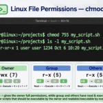 Terminal showing chmod 755 command with Linux file permission breakdown for owner, group and others