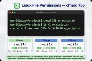 Terminal showing chmod 755 command with Linux file permission breakdown for owner, group and others