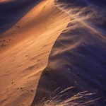 Desert Dunes at Sunrise — Wind Sculpting Golden Sand — AI generated preview