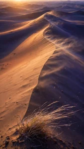 Desert Dunes at Sunrise — Wind Sculpting Golden Sand — AI generated preview