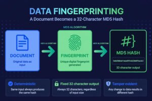 Infographic showing how a document becomes a 32-character MD5 hash fingerprint